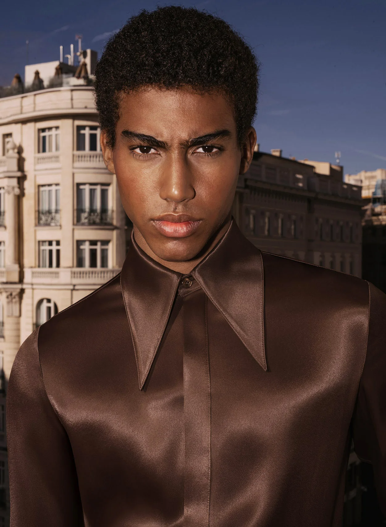 Brown Vintage Rust Viscose Dagger Collar Shirt - Image 2